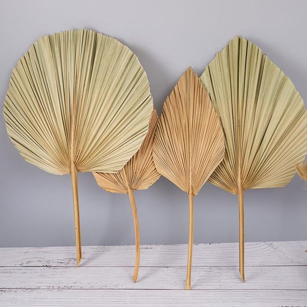 decorative flowers & wreaths 1pcs party art wall hanging decoration wedding arch arrangement palm fan leaf dried flower window reception
decorative flowers & wreaths 1pcs party art wall hanging decoration wedding arch arrangement palm fan leaf dried flower window reception
