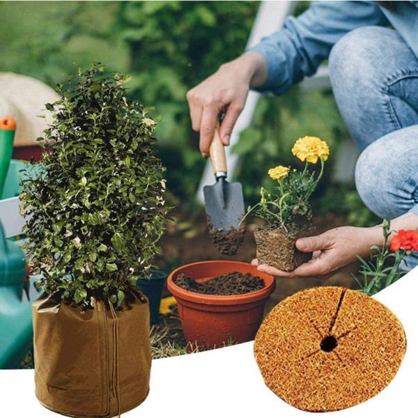 shade heavy duty flower pot protective cover double-layer bubble packaging uv protection reusable vegetation case for outdoor winter
shade heavy duty flower pot protective cover double-layer bubble packaging uv protection reusable vegetation case for outdoor winter