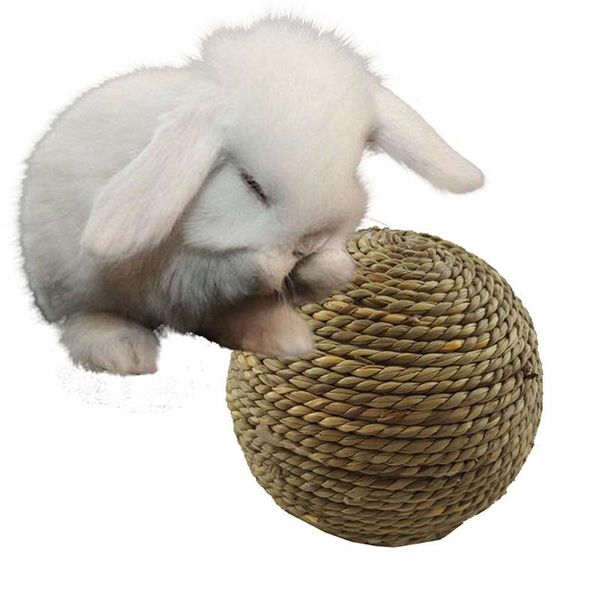small animal supplies pet chewing toy natural grass ball for teeth cleaning toys cat rodent
small animal supplies pet chewing toy natural grass ball for teeth cleaning toys cat rodent