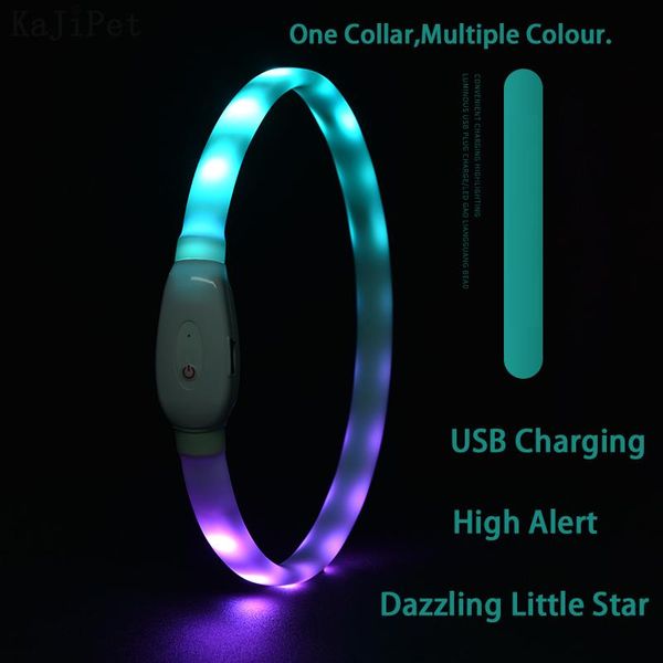 dog collars & leashes collar led light usb discoloration luminous perro luz flashing rechargeable glowing for pet
dog collars & leashes collar led light usb discoloration luminous perro luz flashing rechargeable glowing for pet