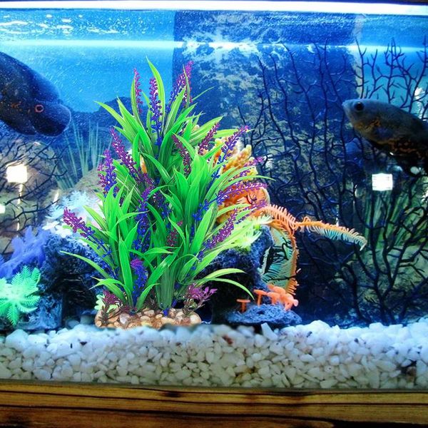 decorations 12inch artificial plants natural ornaments diy realistic for fish tank aquarium landscape decoration
decorations 12inch artificial plants natural ornaments diy realistic for fish tank aquarium landscape decoration