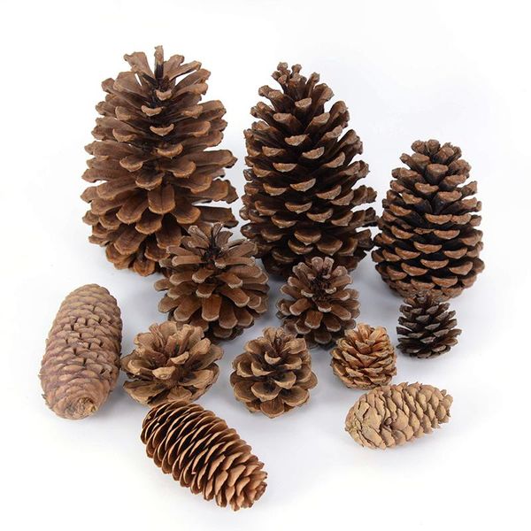 decorative flowers & wreaths 2-18cm natural pine nuts dried plant pineapple cones wedding christmas decoration for home diy wreath handmade
decorative flowers & wreaths 2-18cm natural pine nuts dried plant pineapple cones wedding christmas decoration for home diy wreath handmade