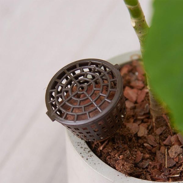 planters & pots fertilizer box bonsai tool reusable plastic garden portable nursery plant bug 100pcs
planters & pots fertilizer box bonsai tool reusable plastic garden portable nursery plant bug 100pcs