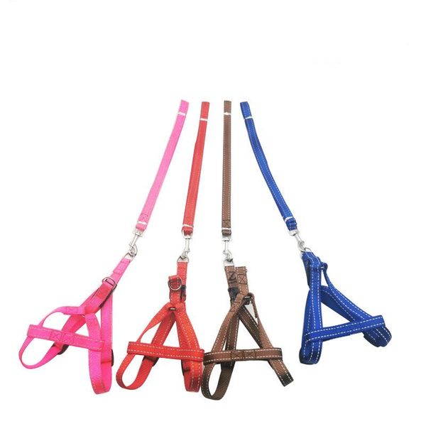dog collars pure color double-row reflective wire leash pet chest harness supplies & leashes
dog collars pure color double-row reflective wire leash pet chest harness supplies & leashes