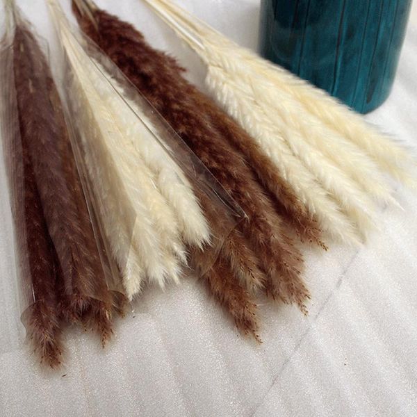 decorative flowers & wreaths 14pcs 7pcs colorful bulrush grass natural dried artificial home wedding living room decoration accessories long
decorative flowers & wreaths 14pcs 7pcs colorful bulrush grass natural dried artificial home wedding living room decoration accessories long
