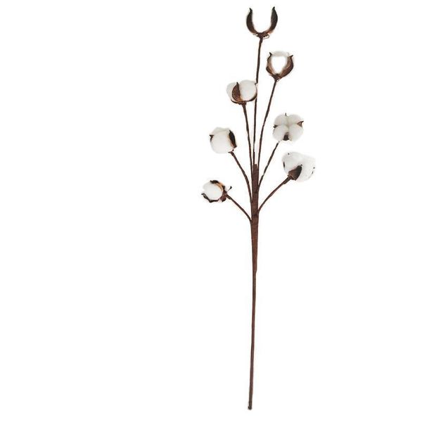 decorative flowers & wreaths 5/7/10/12 head dried cotton fake plants branch artificial flower natural diy for wedding birthday party
decorative flowers & wreaths 5/7/10/12 head dried cotton fake plants branch artificial flower natural diy for wedding birthday party