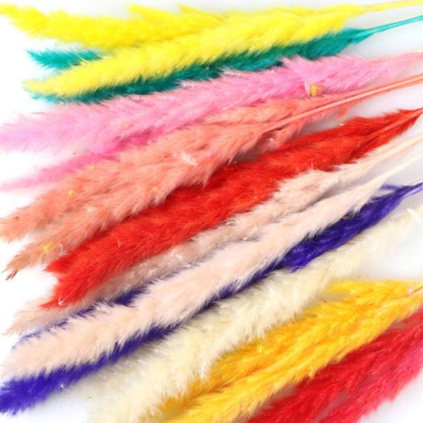 decorative flowers & wreaths 15pcs colorful natural dried reed flower pampas grass phragmites bouquet for modern home wedding party decorati
decorative flowers & wreaths 15pcs colorful natural dried reed flower pampas grass phragmites bouquet for modern home wedding party decorati