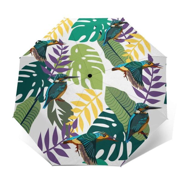 umbrellas automatic umbrella rain women three-folding tropical trees leaves humming birds windproof female waterproof parasol
umbrellas automatic umbrella rain women three-folding tropical trees leaves humming birds windproof female waterproof parasol