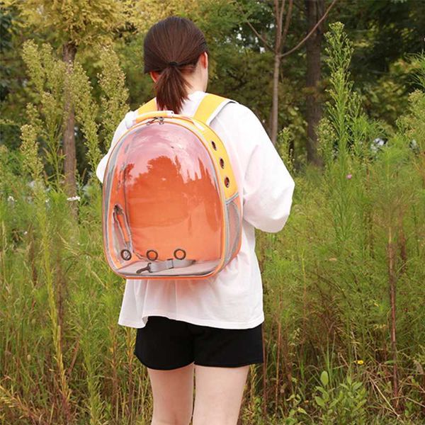 cat carriers,crates & houses overall view opening transparent pet backpack outdoor carrying bag for and small dog travelling outing 
cat carriers,crates & houses overall view opening transparent pet backpack outdoor carrying bag for and small dog travelling outing