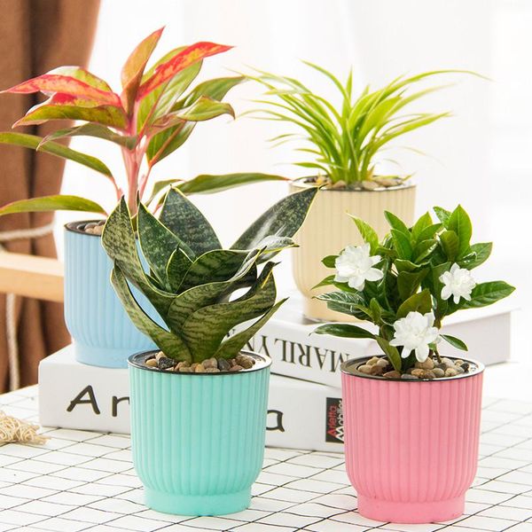 planters & pots automatic self watering flower plants pot water irrigation gardening nursery for garden indoor home decoration
planters & pots automatic self watering flower plants pot water irrigation gardening nursery for garden indoor home decoration