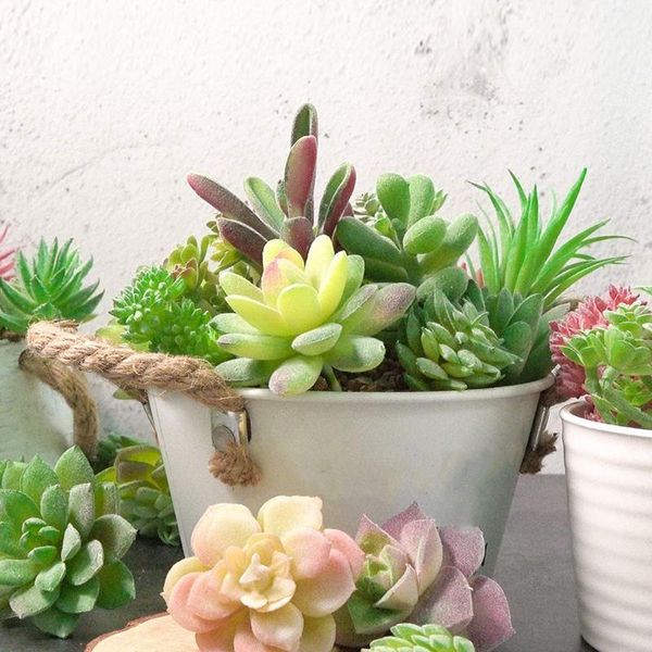 decorative flowers & wreaths artificial succulents plants unpotted realistic fake succulent picks for home diy landscape decorations 12pcs
decorative flowers & wreaths artificial succulents plants unpotted realistic fake succulent picks for home diy landscape decorations 12pcs