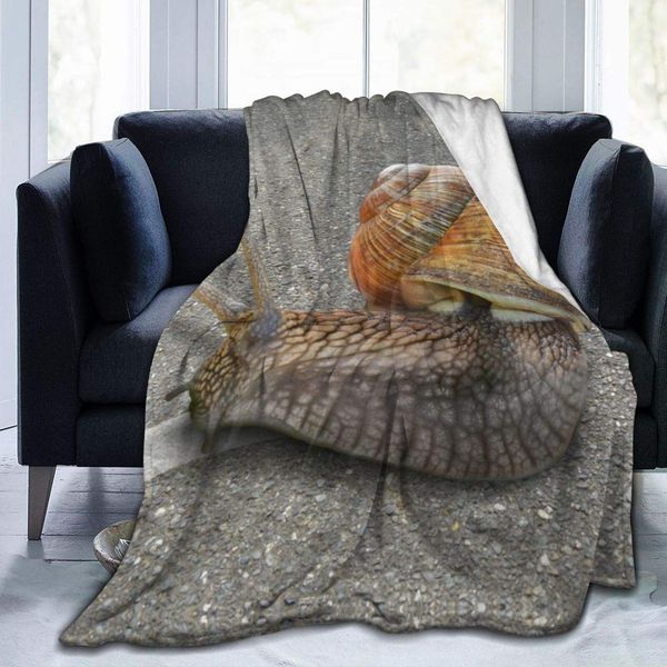 Snail Taxi Fluffy Blanket Warm Bed Throws for Sofa and Pet,Ultra Luxurious Warm and Cozy for All Seasons
Snail Taxi Fluffy Blanket Warm Bed Throws for Sofa and Pet,Ultra Luxurious Warm and Cozy for All Seasons