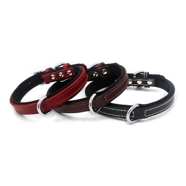 pet products dog supplies collars solid leather double diving cloth lined soft durable basic collar 5pc/lot & leashes
pet products dog supplies collars solid leather double diving cloth lined soft durable basic collar 5pc/lot & leashes