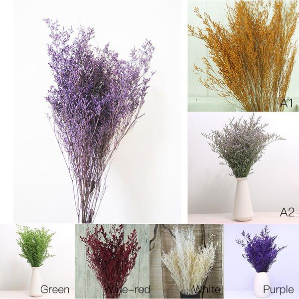 decorative flowers & wreaths 1bunch of artificial handmade plant natural dried for home dector scrapbooking handicraft p10
decorative flowers & wreaths 1bunch of artificial handmade plant natural dried for home dector scrapbooking handicraft p10