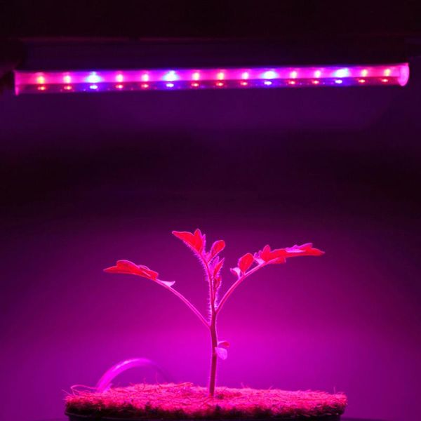 led grow light indoor home flower lighting growth fito lamp tube for plants nursery hydroponics full spectrum phytolamp lights
led grow light indoor home flower lighting growth fito lamp tube for plants nursery hydroponics full spectrum phytolamp lights