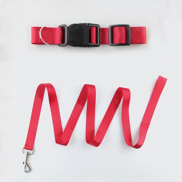 dogs pets collar dog leash seat belt cat pet for small medium puppy accessories collars & leashes
dogs pets collar dog leash seat belt cat pet for small medium puppy accessories collars & leashes