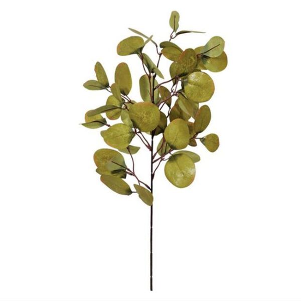 simulated eucalyptus imitation plants simulation leaf fake flower for wedding shooting prop party decor artificial leaves decorative flowers
simulated eucalyptus imitation plants simulation leaf fake flower for wedding shooting prop party decor artificial leaves decorative flowers