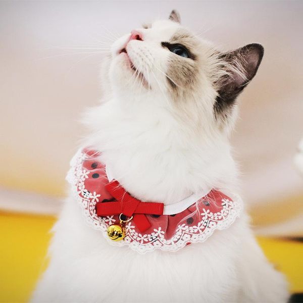 cat costumes pet bibs lace kitten dog cute bib with jingle ball decoration cats collar necklace puppy neck decor
cat costumes pet bibs lace kitten dog cute bib with jingle ball decoration cats collar necklace puppy neck decor