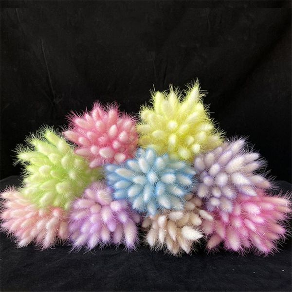 decorative flowers & wreaths 30pcs gradient tail grass natural color dried flower bouquet living room bedroom home deskdecoration
decorative flowers & wreaths 30pcs gradient tail grass natural color dried flower bouquet living room bedroom home deskdecoration