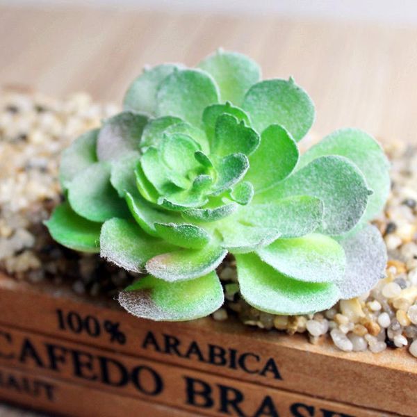 artificial succulent simulated plant home garden fake landscape decor tool decorative flowers & wreaths
artificial succulent simulated plant home garden fake landscape decor tool decorative flowers & wreaths