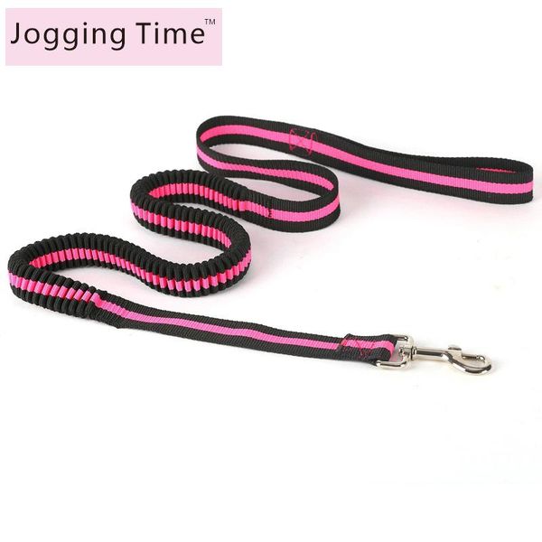 dog collars & leashes nylon dogs leash elasticity hand y pet products walkingtraining lead safety belt pink green and blue
dog collars & leashes nylon dogs leash elasticity hand y pet products walkingtraining lead safety belt pink green and blue