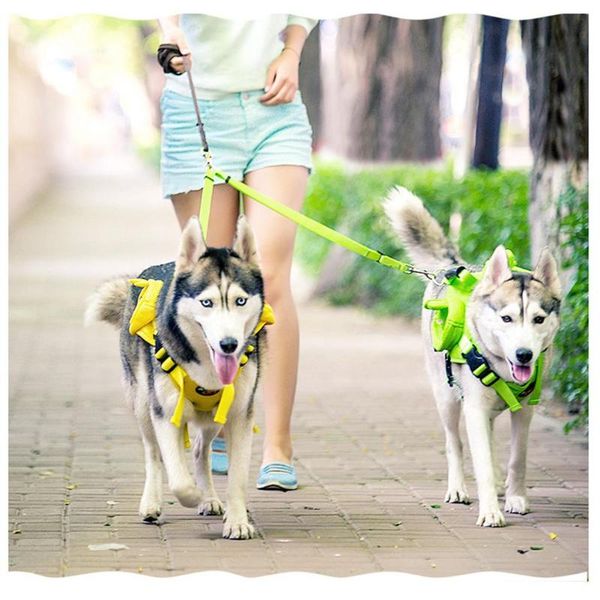dog collars & leashes 2 in 1 pet leash with double head for medium large dogs outdoor walking traction rope chihuahua puppy cat accessories
dog collars & leashes 2 in 1 pet leash with double head for medium large dogs outdoor walking traction rope chihuahua puppy cat accessories