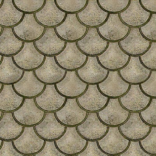 paving mould concrete floor stepping stone paver lawn patio yard garden diy walkway pavement molds inte99 other buildings
paving mould concrete floor stepping stone paver lawn patio yard garden diy walkway pavement molds inte99 other buildings