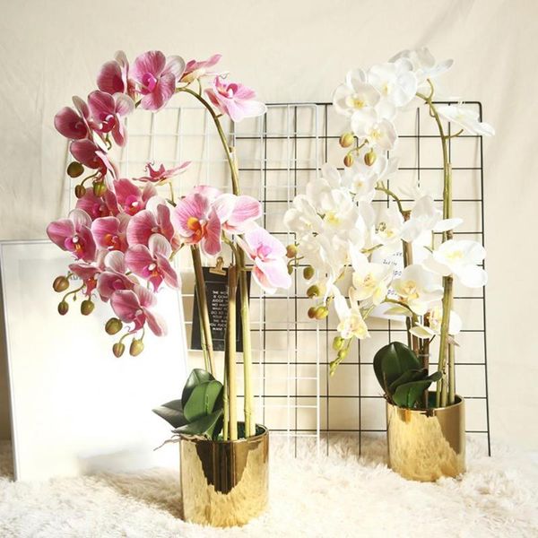1pc faux orchid plant natural lifelike household products artificial plants decoration for stores decorative flowers & wreaths
1pc faux orchid plant natural lifelike household products artificial plants decoration for stores decorative flowers & wreaths