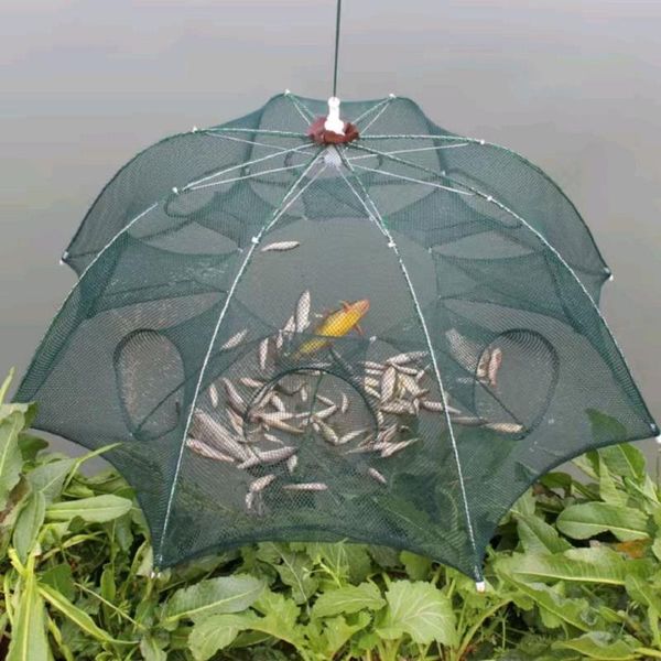 4-24 hole casting network fishing net trap for carp tackle accessories crayfish catcher sea river foldable cast
4-24 hole casting network fishing net trap for carp tackle accessories crayfish catcher sea river foldable cast