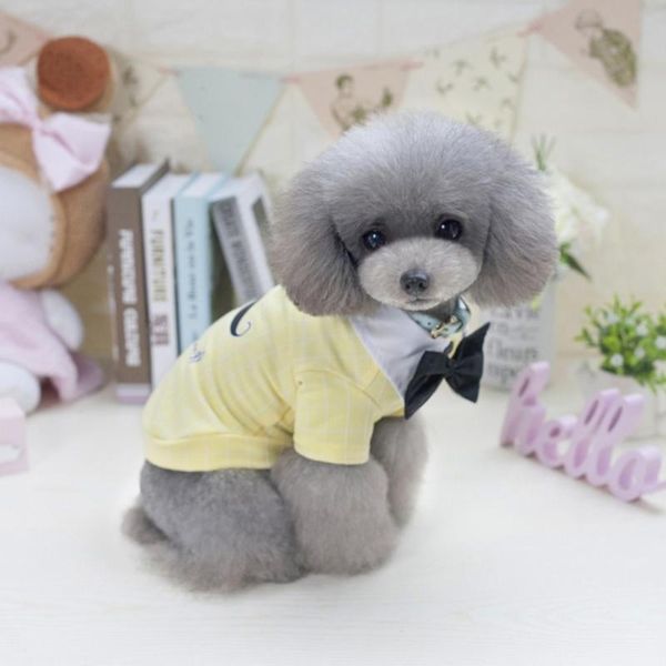 dog apparel spring summer pet small clothes teddy hiphop moustache cotton t-shirt with large bowknot tie
dog apparel spring summer pet small clothes teddy hiphop moustache cotton t-shirt with large bowknot tie
