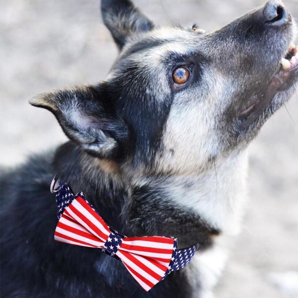 dog collars & leashes 1pcs 2021 bow fashion cute pet collar flag printed cat tie decorative supplies harness accessories
dog collars & leashes 1pcs 2021 bow fashion cute pet collar flag printed cat tie decorative supplies harness accessories