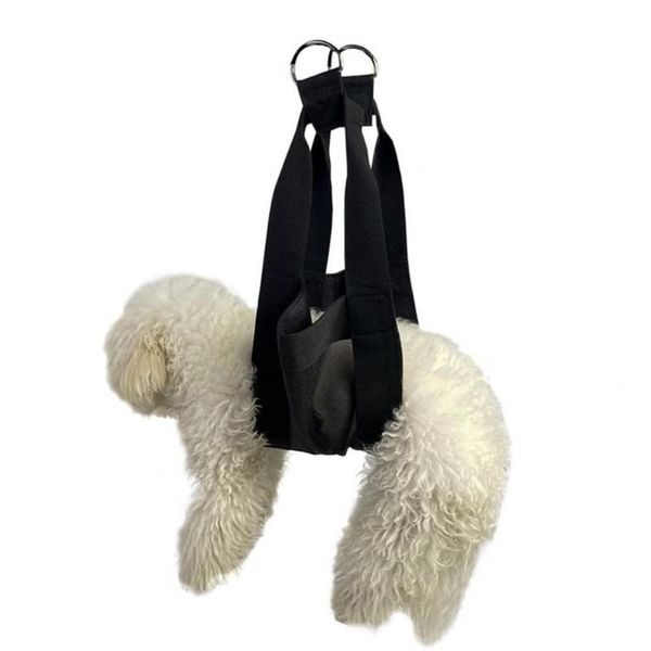 cat costumes useful lamb weighing belt mesh hole tear resistant design weight scale sling
cat costumes useful lamb weighing belt mesh hole tear resistant design weight scale sling