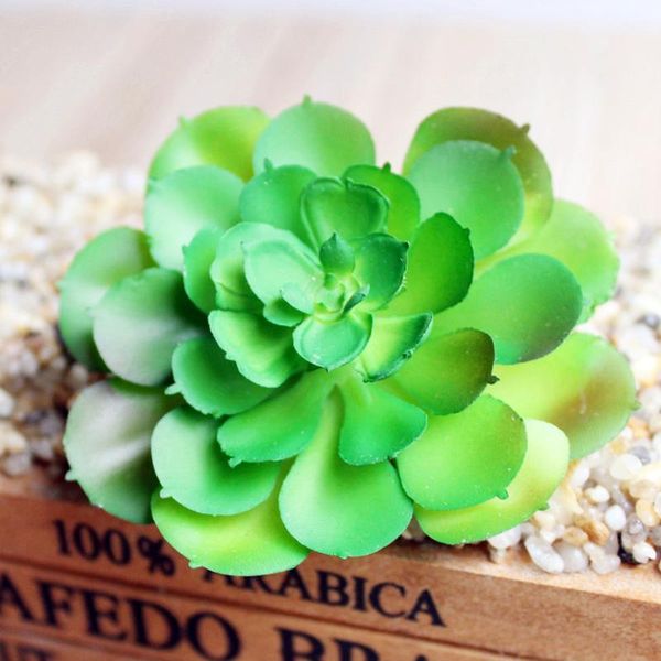 lifelike artificial succulents plants multi type pvc plant garden miniature aloe cactus diy home efloral decoration decorative flowers & wre
lifelike artificial succulents plants multi type pvc plant garden miniature aloe cactus diy home efloral decoration decorative flowers & wre