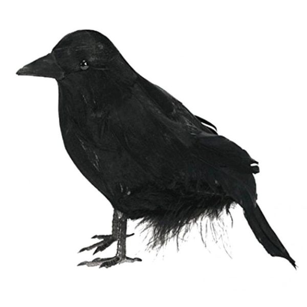 party hats portable excellent black feathered simulation crow statue feather eye-catching for
party hats portable excellent black feathered simulation crow statue feather eye-catching for