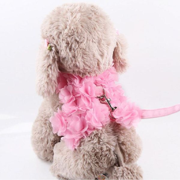 dog collars & leashes cute vivid pink flower harness and leash set breathable small pet vest-style chest strap puppy vest clothes for teddy
dog collars & leashes cute vivid pink flower harness and leash set breathable small pet vest-style chest strap puppy vest clothes for teddy