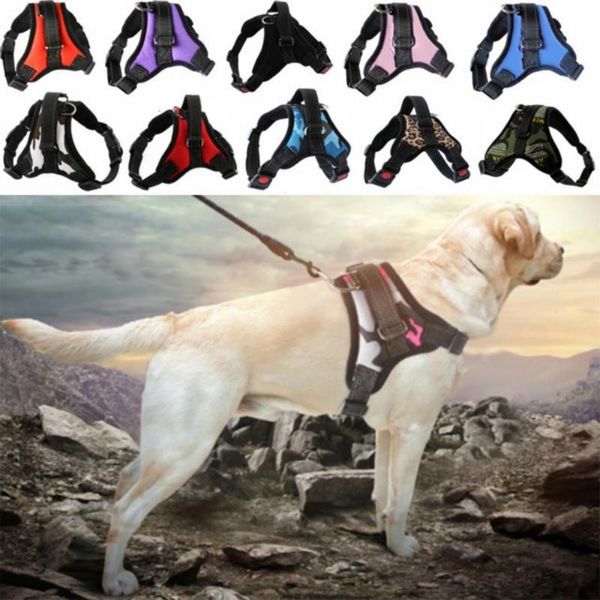 dog collars & leashes personalized pet harness vest supplies adjustable hand strap no pull reflective breathable
dog collars & leashes personalized pet harness vest supplies adjustable hand strap no pull reflective breathable