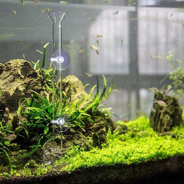 aquarium glass feeder transparent tube bowl fish shrimp feeding with 2pcs suction cups safe decorations
aquarium glass feeder transparent tube bowl fish shrimp feeding with 2pcs suction cups safe decorations