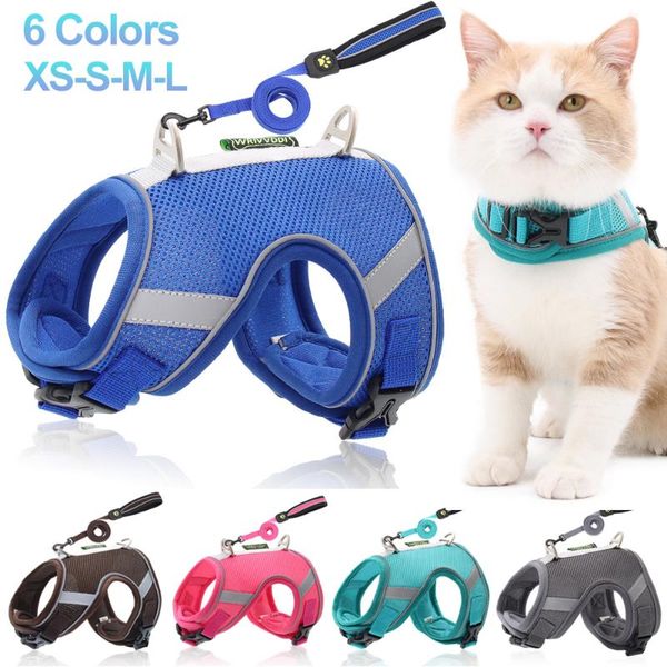 dog collars & leashes pet vest harness for small dogs cats adjustable mesh reflective collar chest strap leash with traction rope
dog collars & leashes pet vest harness for small dogs cats adjustable mesh reflective collar chest strap leash with traction rope