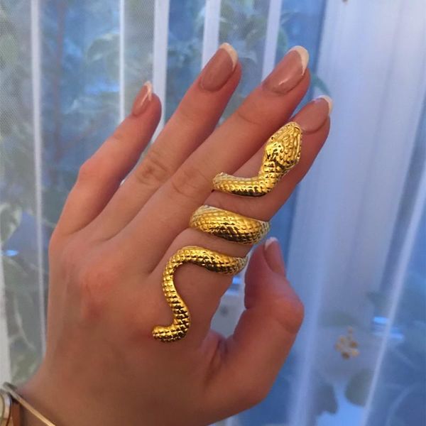 cluster rings for women punk jewelry metal colour snake plated gold finger funky adjustable 2021 trends on phalanx girls ring, Golden;silver
cluster rings for women punk jewelry metal colour snake plated gold finger funky adjustable 2021 trends on phalanx girls ring, Golden;silver