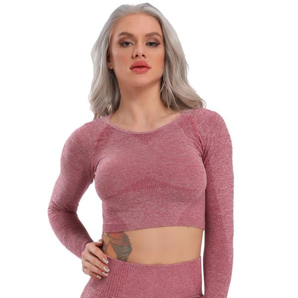yoga outfit seamless long sleeve workout for women fitness t-shirts crop solid sportswear women's shirt gym clothing
yoga outfit seamless long sleeve workout for women fitness t-shirts crop solid sportswear women's shirt gym clothing
