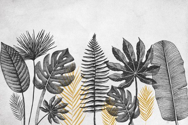 wallpapers black and yellow tropical leaves- peel stick- removable wallpaper- wall decor- living room decorations-wall art design
wallpapers black and yellow tropical leaves- peel stick- removable wallpaper- wall decor- living room decorations-wall art design