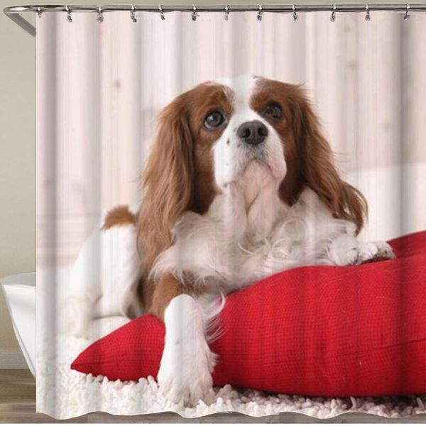 bathroom shower curtain,dog cute puppy look up,polyester fabric shower curtains waterproof bath curtain with 12 hooks,72 x 72
bathroom shower curtain,dog cute puppy look up,polyester fabric shower curtains waterproof bath curtain with 12 hooks,72 x 72
