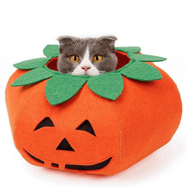 pet halloween collar pumpkin dress up props cat puppy dog cute neckband clothes party makeover accessories apparel
pet halloween collar pumpkin dress up props cat puppy dog cute neckband clothes party makeover accessories apparel