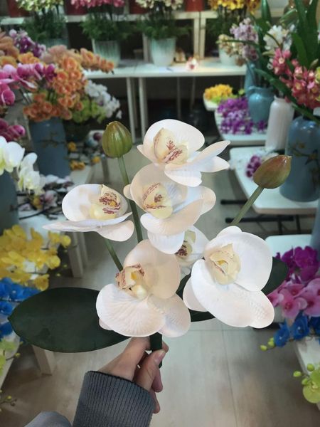 8 heads artificial flower orchid phalaenopsis bonsai wedding decoration living room interior home ornaments decor fake flowers
8 heads artificial flower orchid phalaenopsis bonsai wedding decoration living room interior home ornaments decor fake flowers