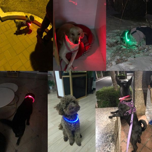 dog collars & leashes led collar light usb rechargeable glowing luminous pet night charging for small medium large
dog collars & leashes led collar light usb rechargeable glowing luminous pet night charging for small medium large