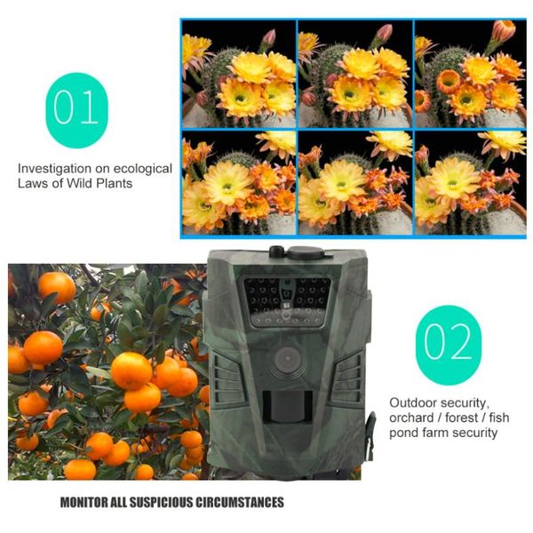 hunting cameras 720p waterproof animal trail camera ht001 po traps for video game outdoor
hunting cameras 720p waterproof animal trail camera ht001 po traps for video game outdoor
