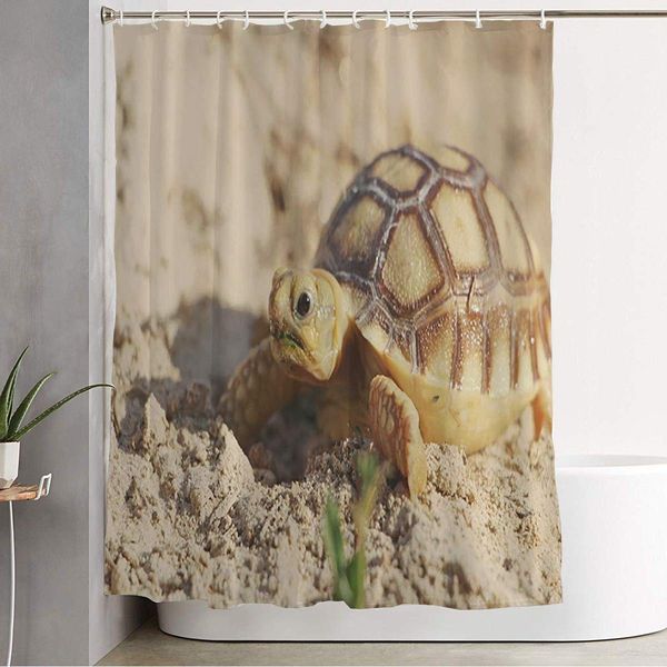 shower curtain for bathroom protective wild hatching close baby african spurred tortoise resting animals sand wildlife nature
shower curtain for bathroom protective wild hatching close baby african spurred tortoise resting animals sand wildlife nature
