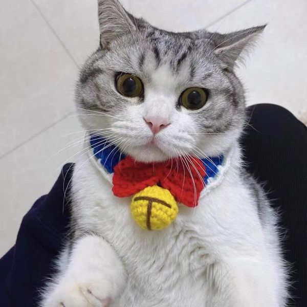 cat collars & leads cute knitted pendant adjustable puppy kitten necklace with bells for pet bow tie
cat collars & leads cute knitted pendant adjustable puppy kitten necklace with bells for pet bow tie