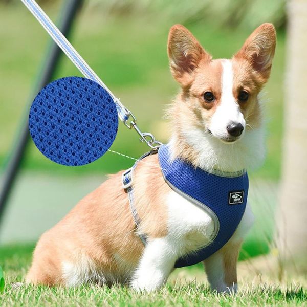 walk-in air dog harness reflective breathable mesh chest traction belt pet supplies collars & leashes
walk-in air dog harness reflective breathable mesh chest traction belt pet supplies collars & leashes
