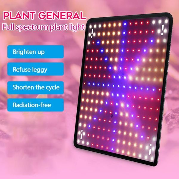 plant light potted greenhouse grow vegetable red and blue spectrum lighting for indoor lights
plant light potted greenhouse grow vegetable red and blue spectrum lighting for indoor lights